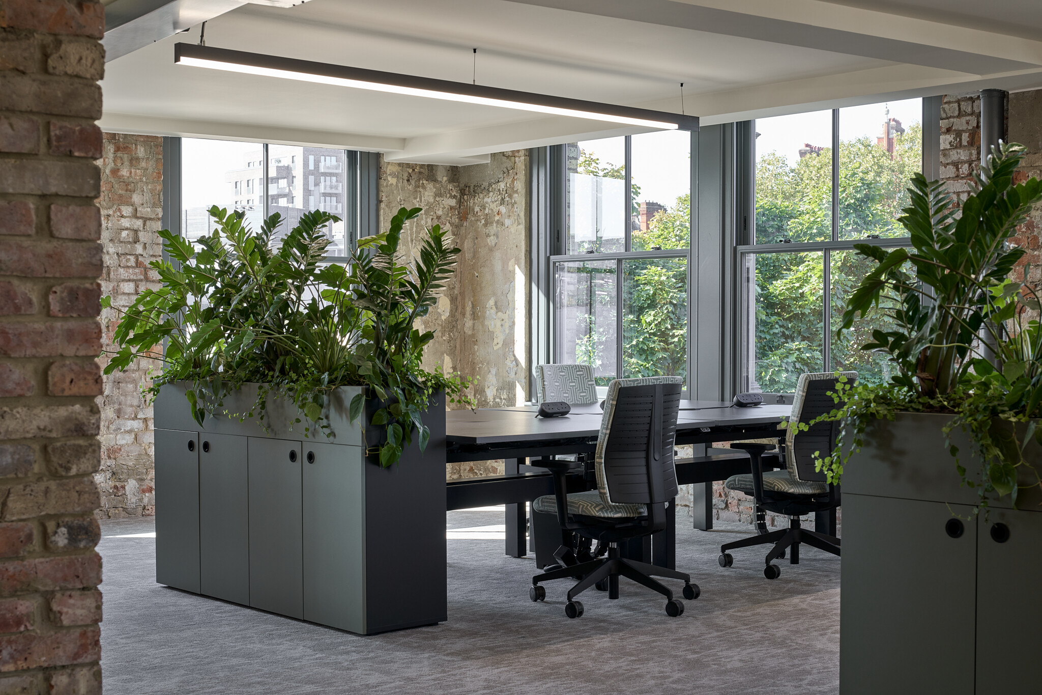 The Waterman open plan with height-adjustable desks, patterned task chairs and biophilic planters against raw walls and large Crittall-style windows