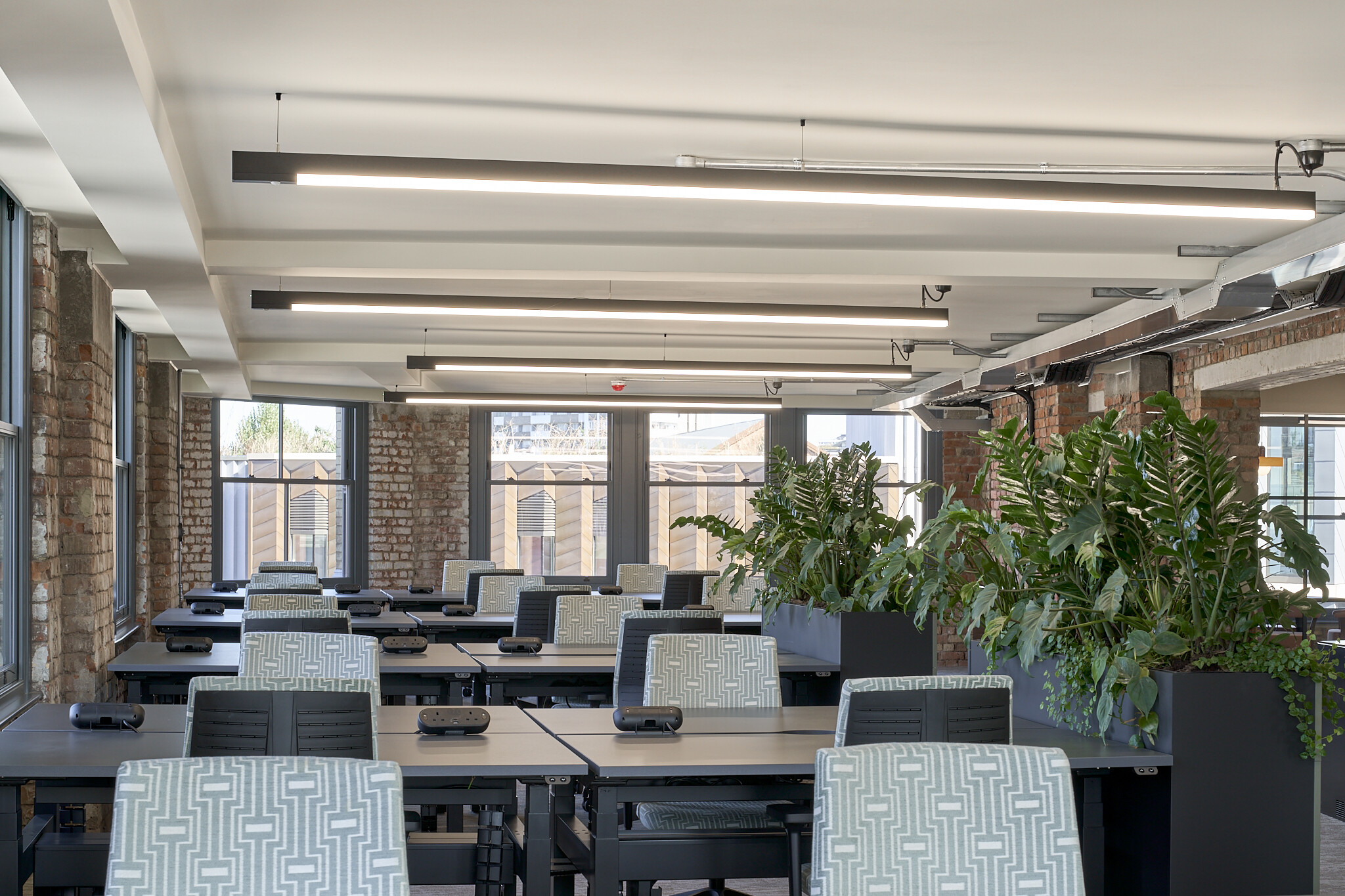 The Waterman desking zone with patterned task chairs, linear lighting and tall planters separating banks of height-adjustable workstations.