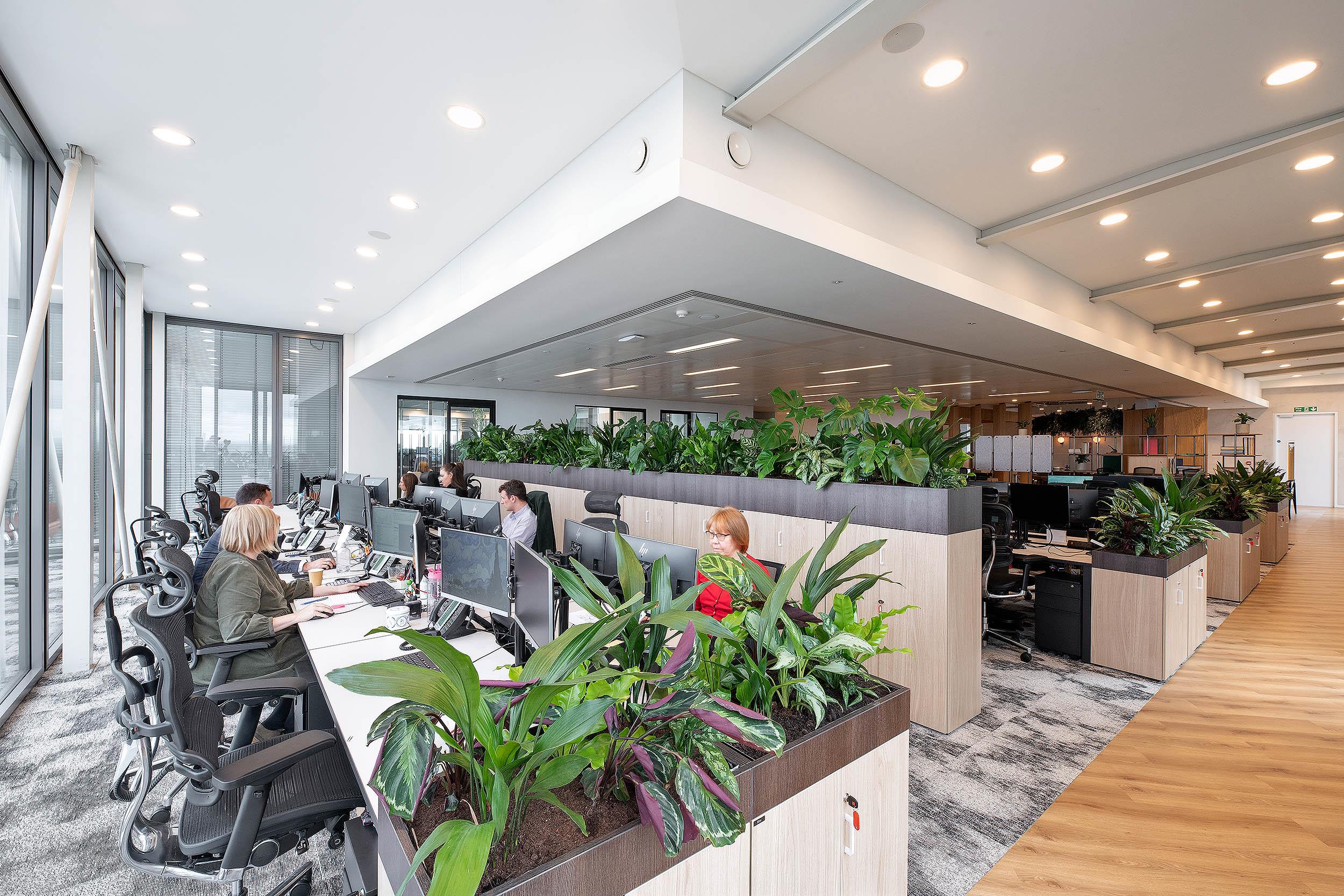 AMC’s open-plan workspace furnished by Platfform, with ergonomic task chairs, integrated planter storage units and banks of desks designed for team working.
