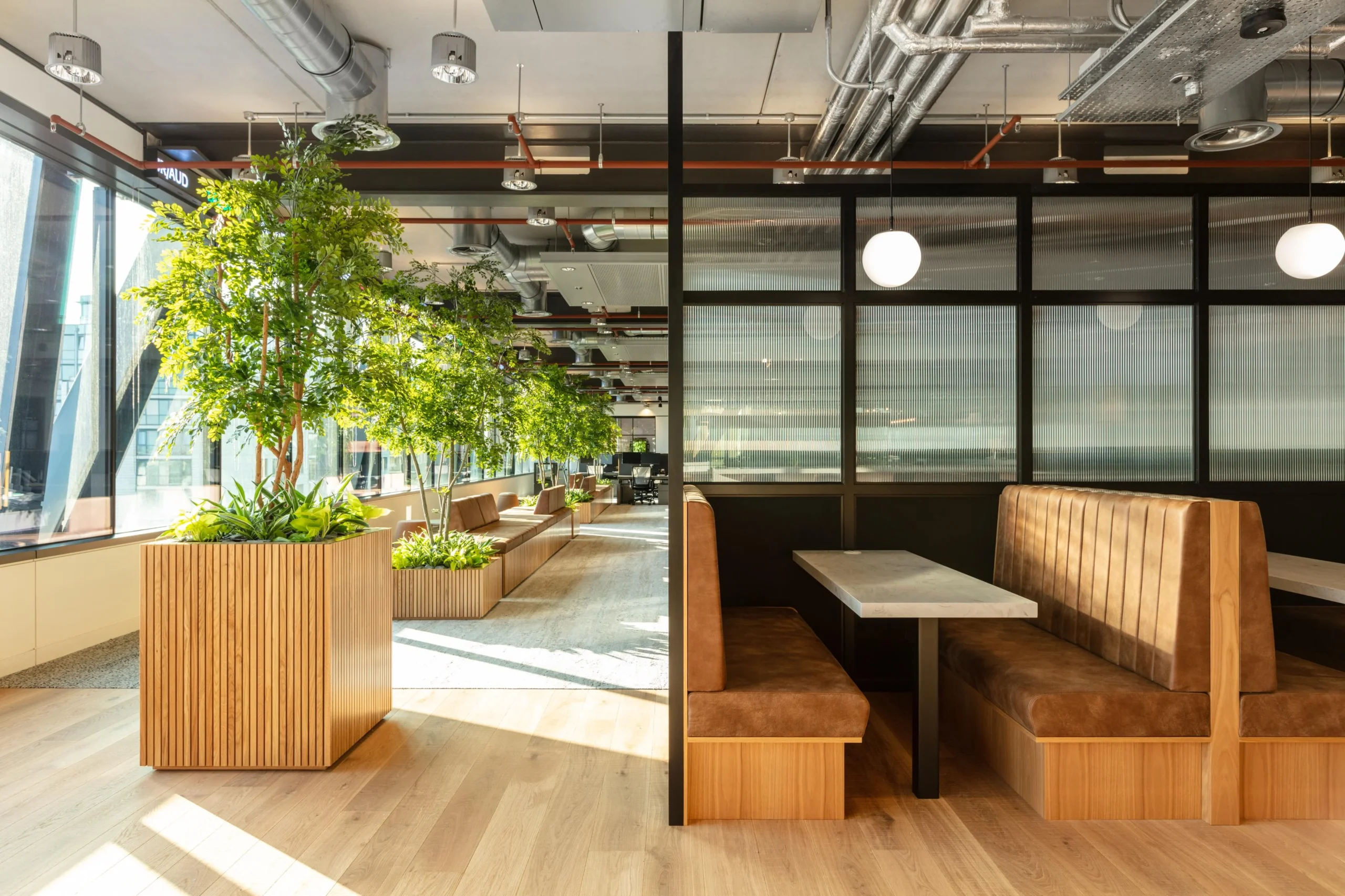 Workplace booths and built-in bench seating at Alpha FX, with natural light, indoor trees, and custom joinery supplied by Platfform to elevate comfort and flow.
