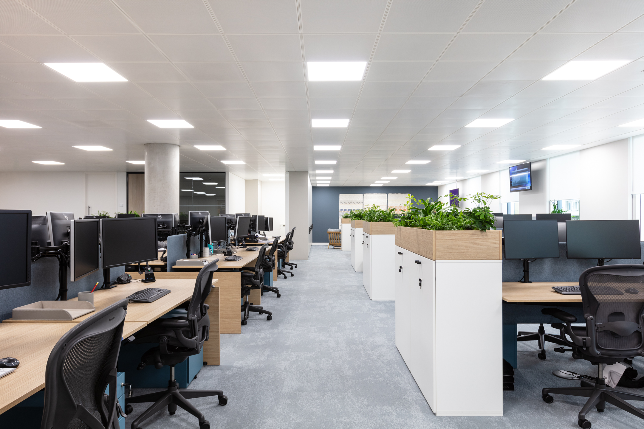 Open-plan office for an Asset Management Firm, with ergonomic workstations and integrated planting, furnished and planned in collaboration with Platfform.