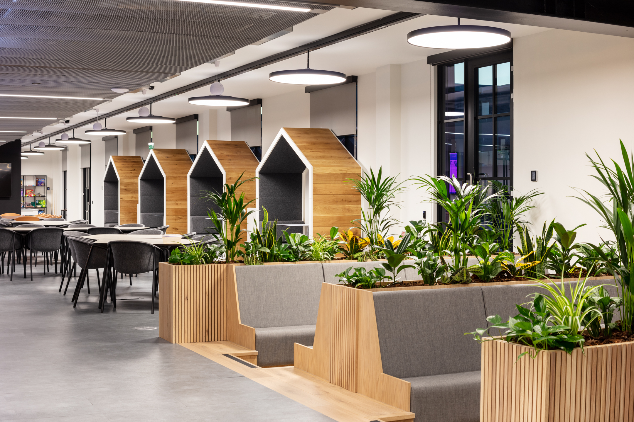Breakout space at Checkout.com with soft seating, indoor planting and timber-framed acoustic booths shaped like houses.