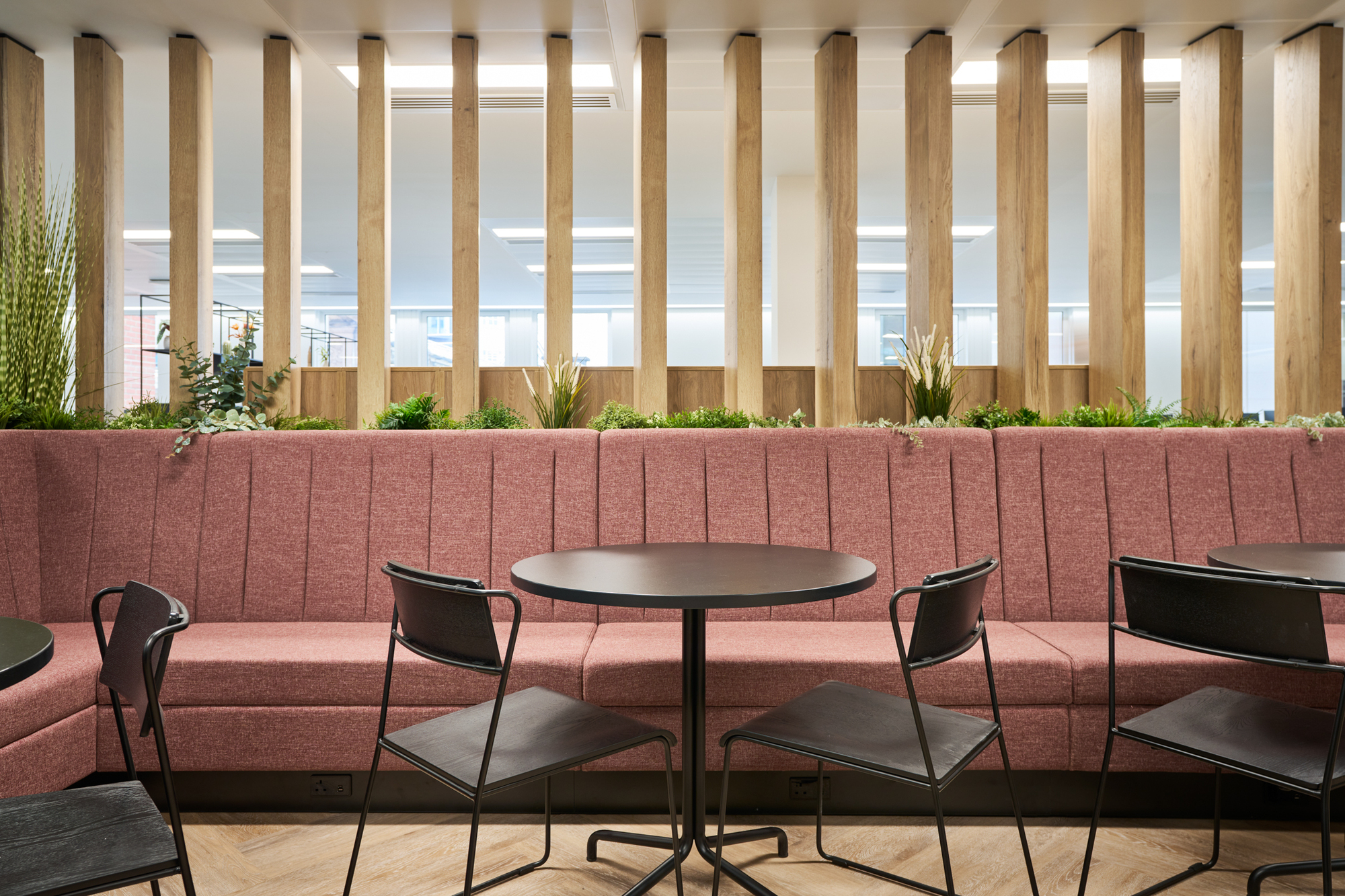 Gemserv’s seating area with upholstered banquettes, timber dividers, and greenery designed by Platfform to enhance comfort and visual appeal