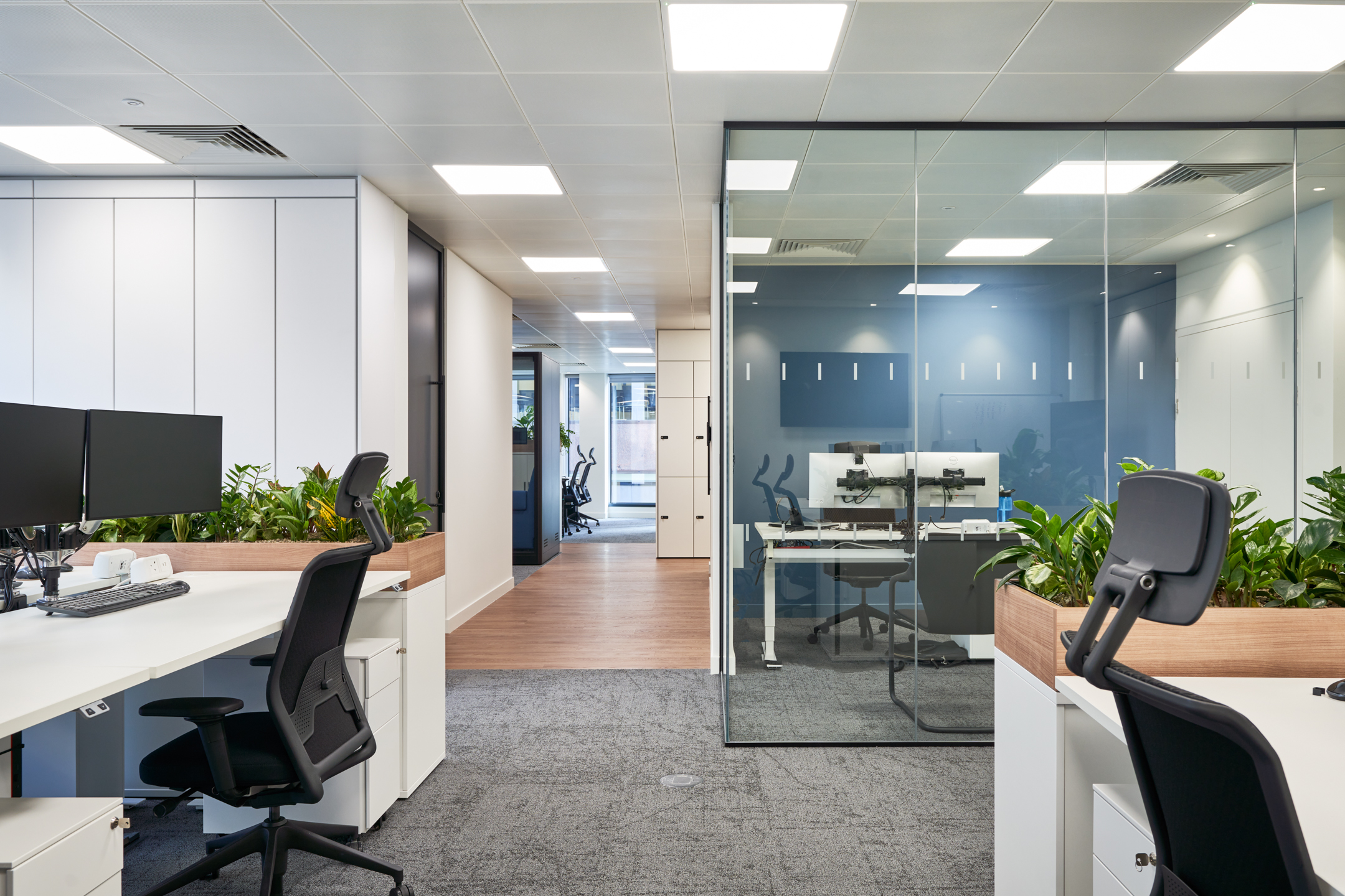 Open-plan office workspace designed by Platfform for KPI Ocean Connect, featuring ergonomic chairs, dual monitor setups, and desk planters for a modern and functional layout.