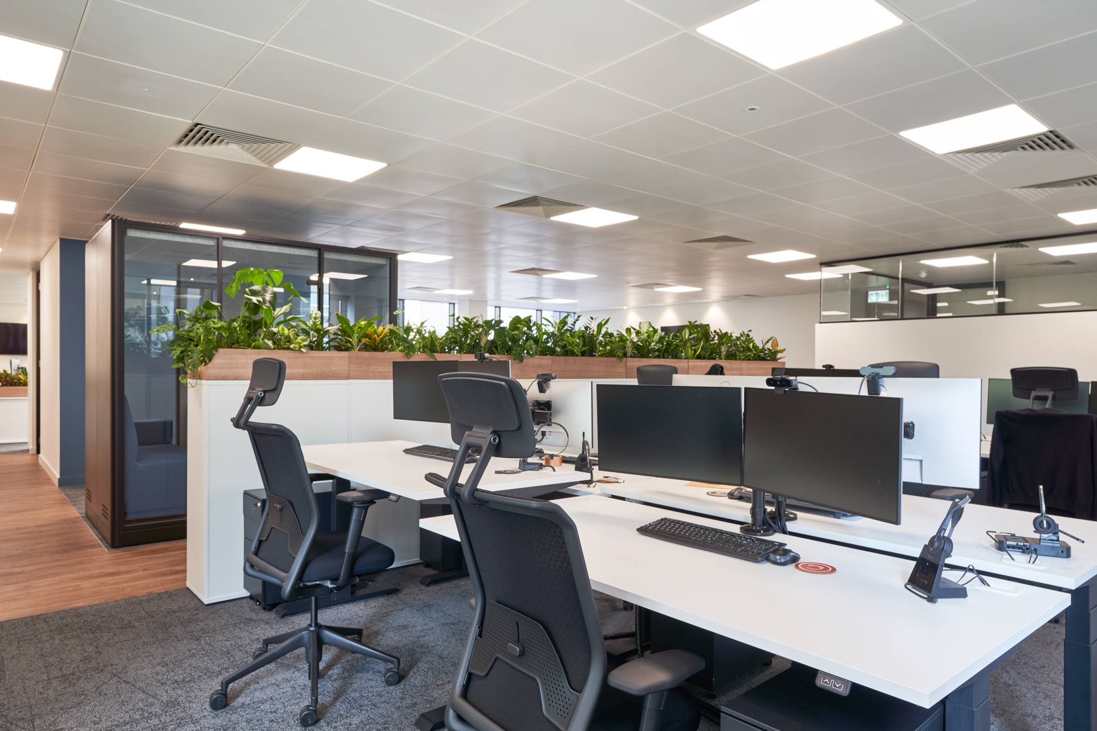 Bright and spacious office design with collaborative desk arrangements and greenery dividers for an enhanced work environment.