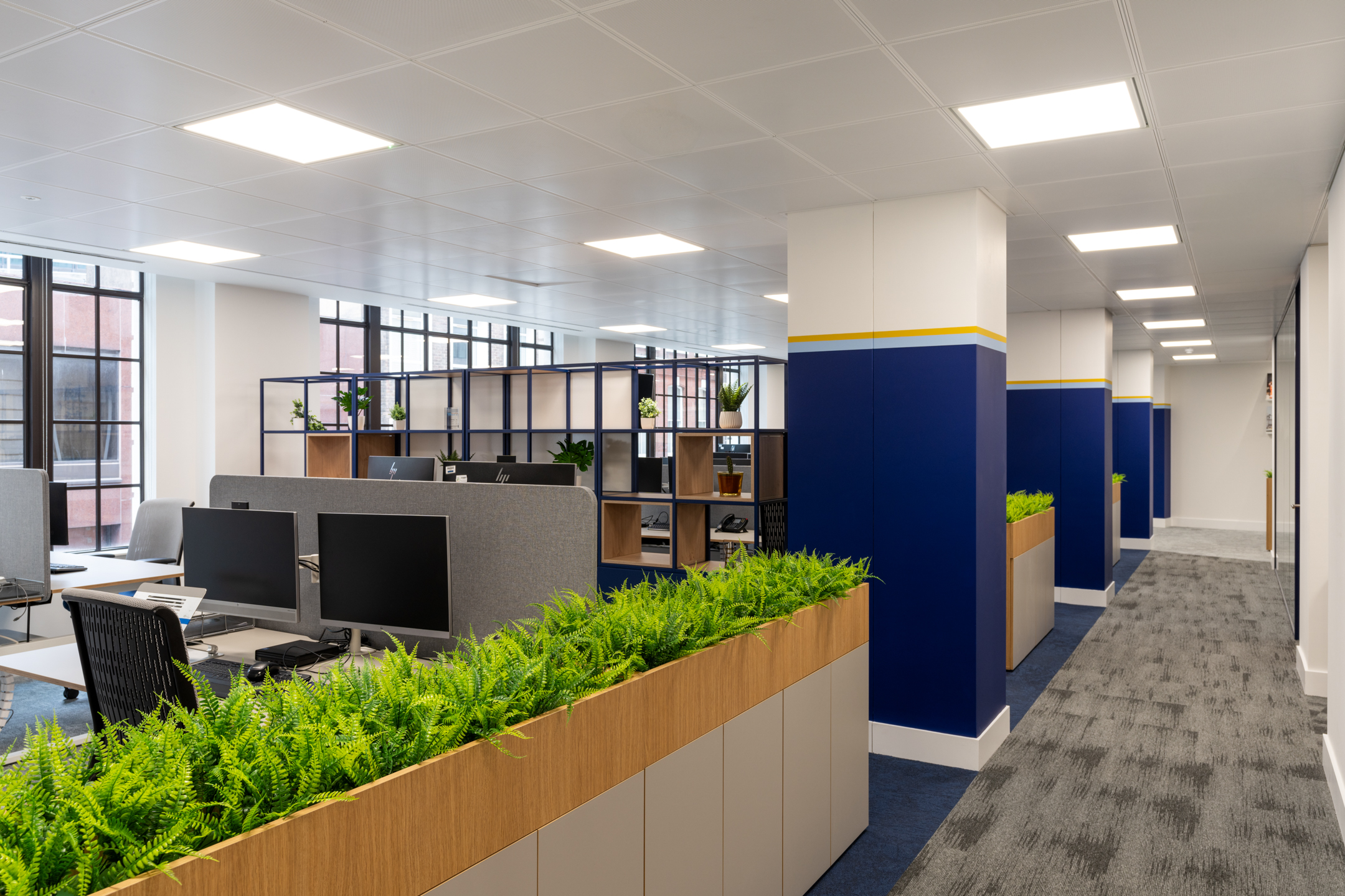 Open-plan workspace at the Port of London Authority office by Platfform, featuring greenery, partitioned desks, and bold blue accent walls with yellow detailing.