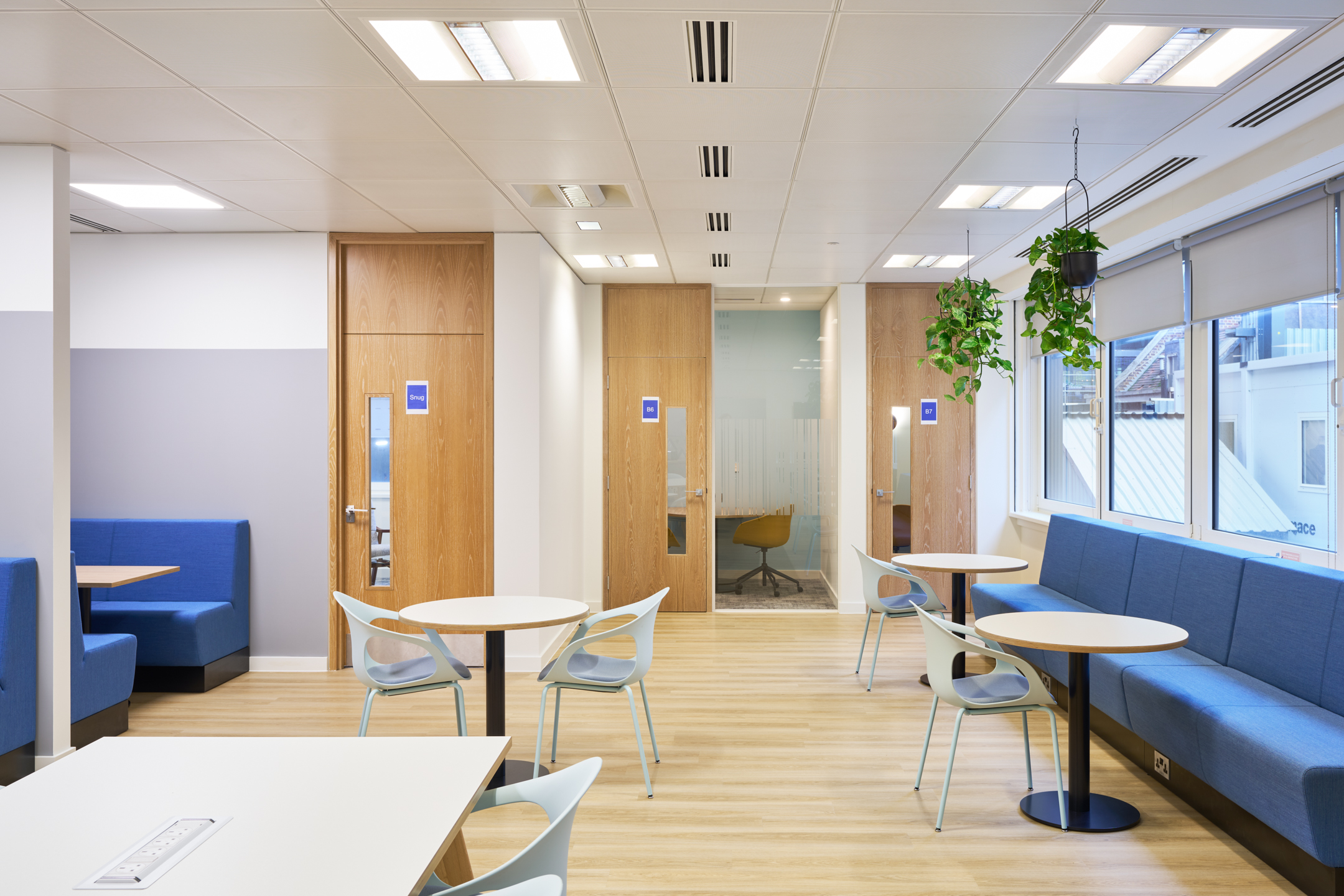 Tech UK workspace, with hanging biophilic plants, blue sofas, booths and contemporary lighting.