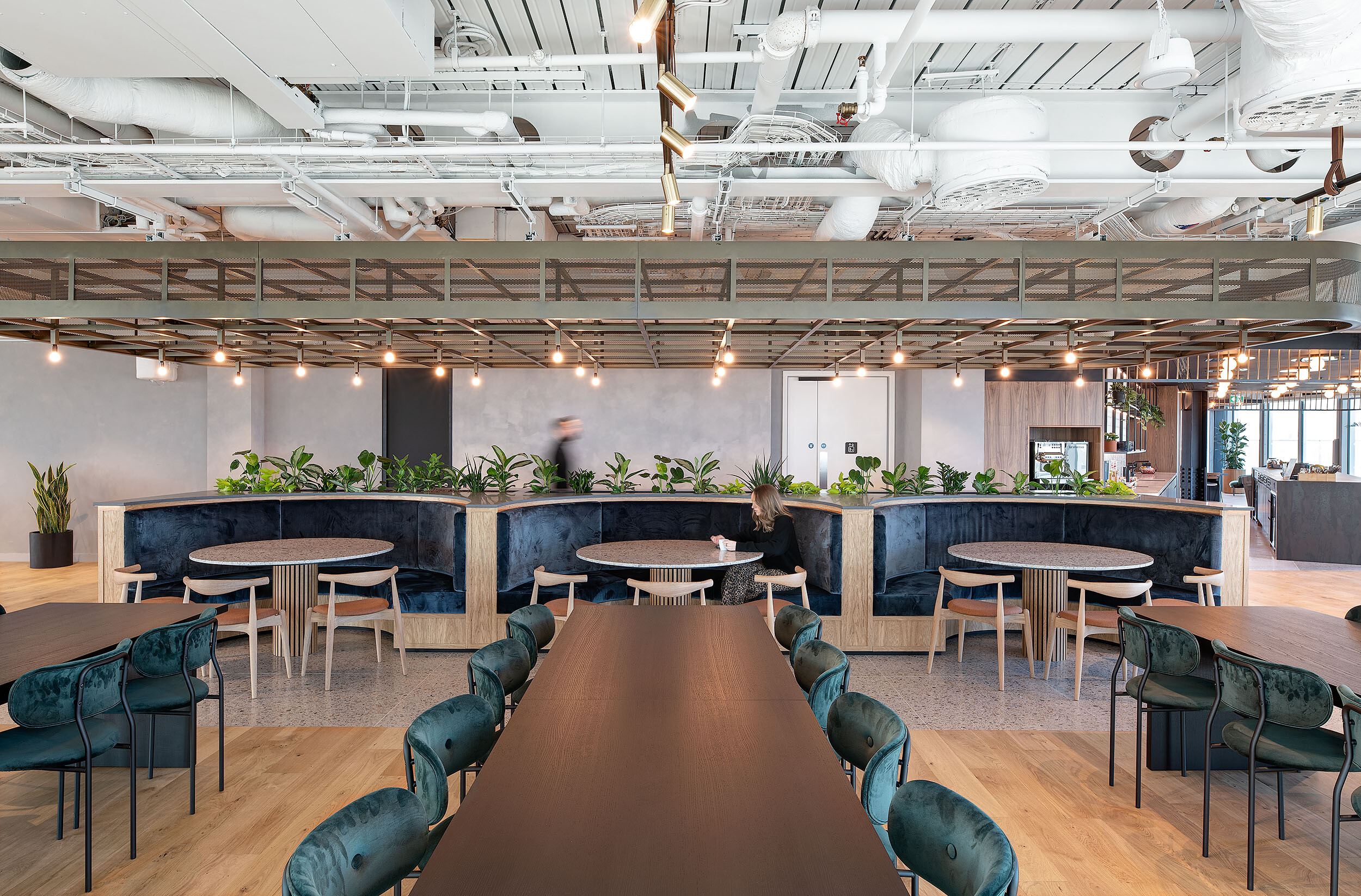 Teapoint seating at International Technology and Data Firm with velvet banquettes, timber dining tables and layered planting under a sculptural ceiling grid.