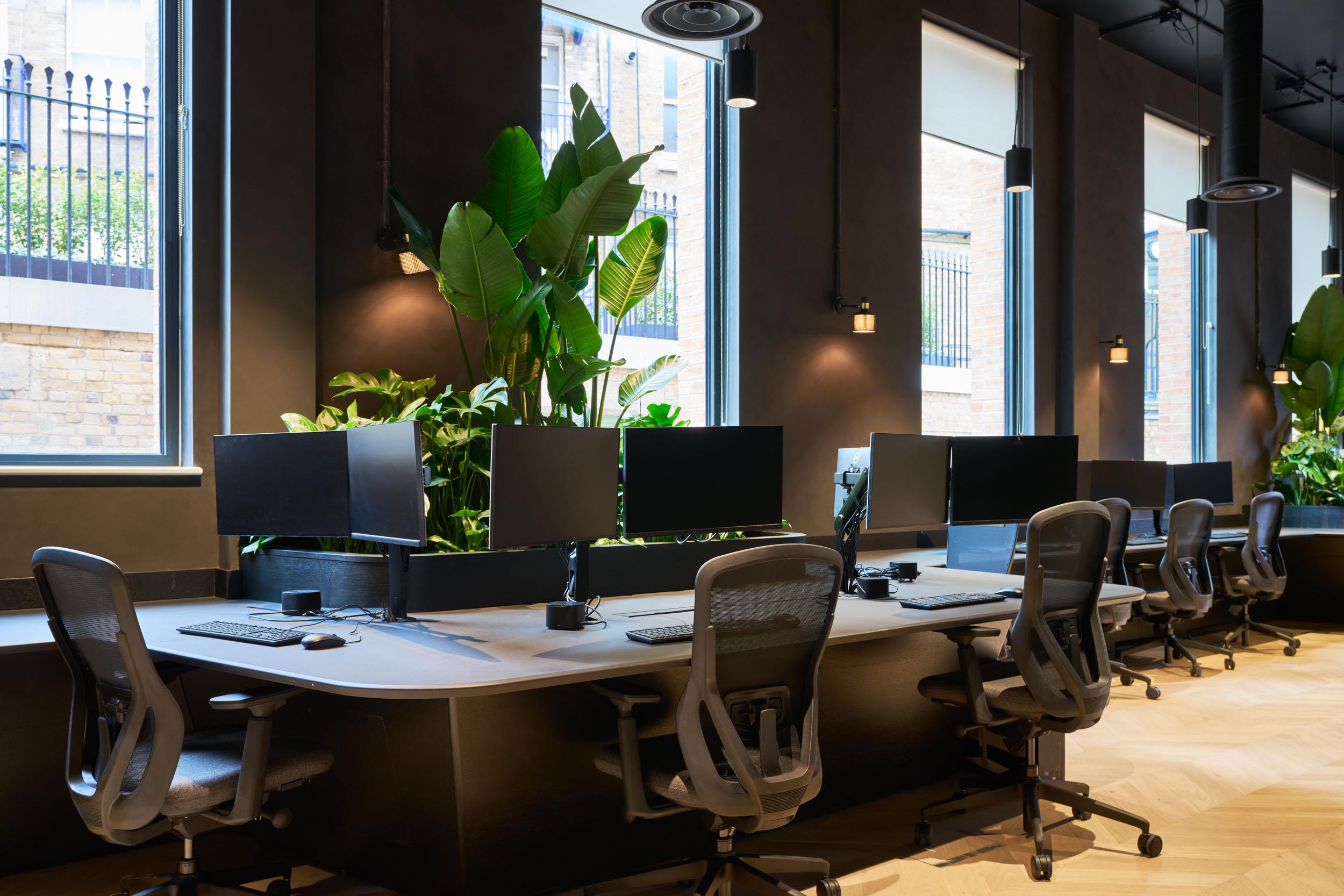 Ergonomic task chairs and dual-monitor desks supplied for Lotus, positioned along full-height windows with lush indoor planting and natural light.