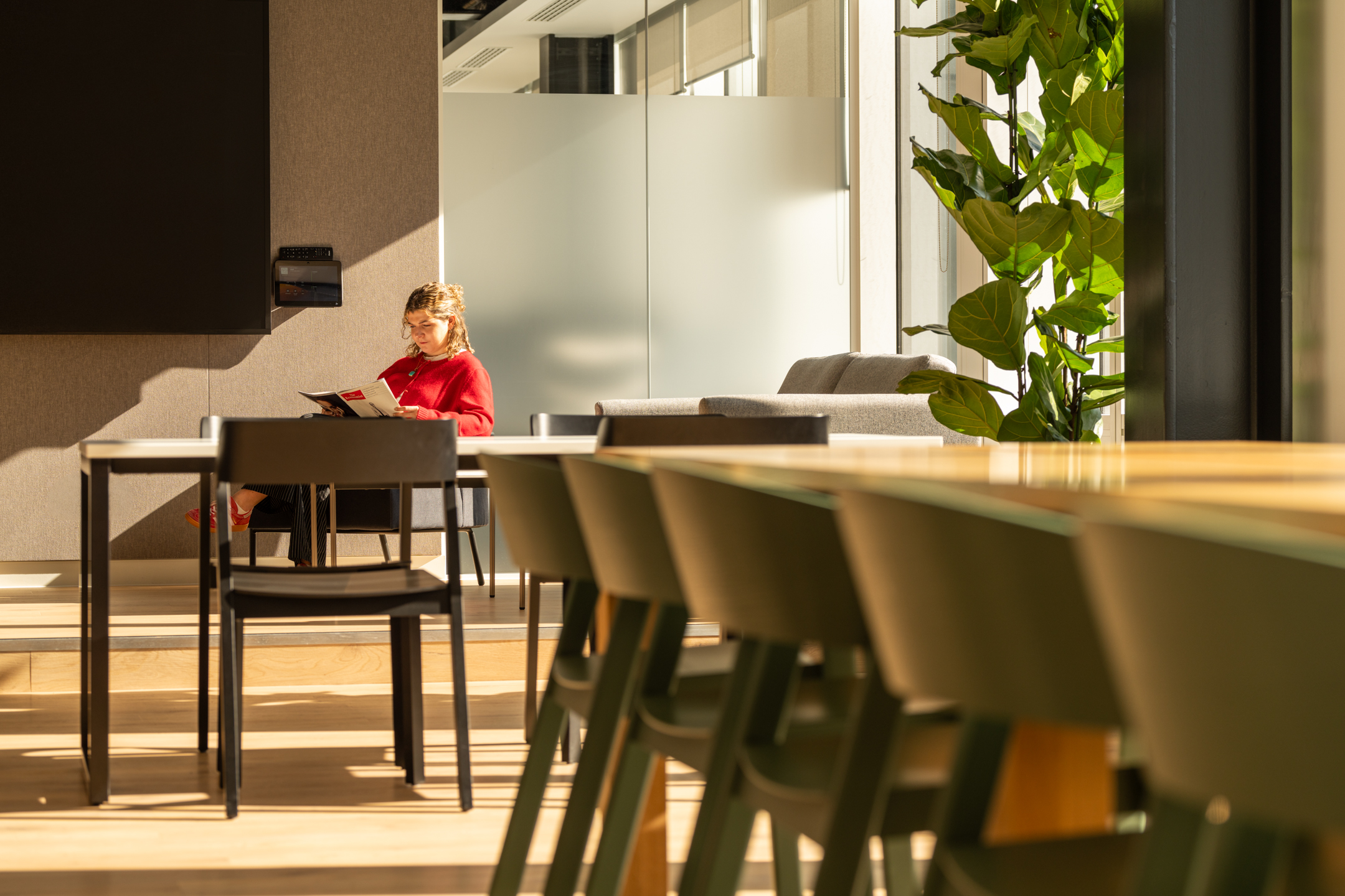 Shionogi workspace flooded with natural light, featuring minimalist chairs and clean-lined tables in a Japandi-inspired, softly tonal setting.