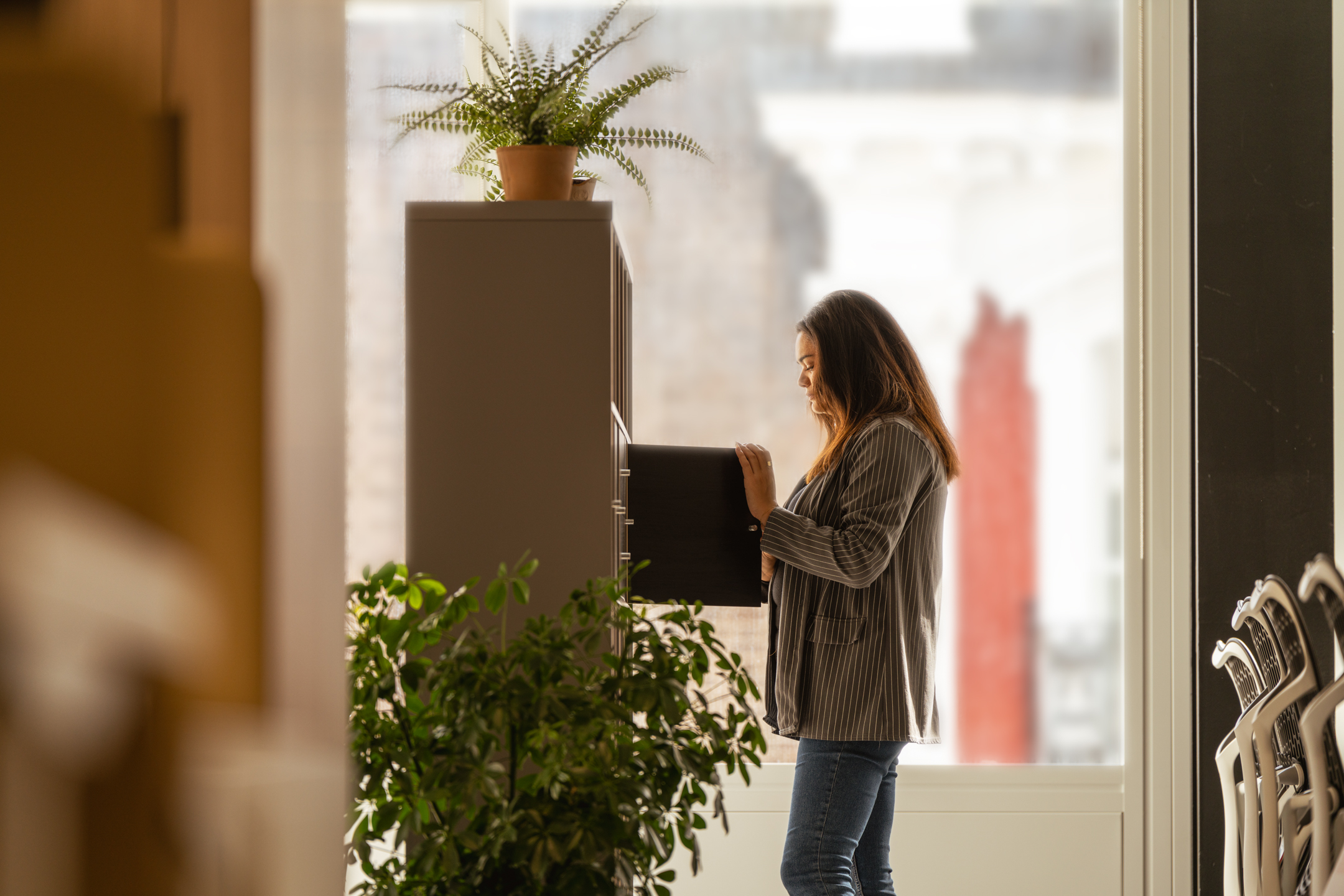 Soft-toned storage and greenery in Shionogi’s office, designed with Japandi calm and subtle functionality to suit the flow of everyday use.