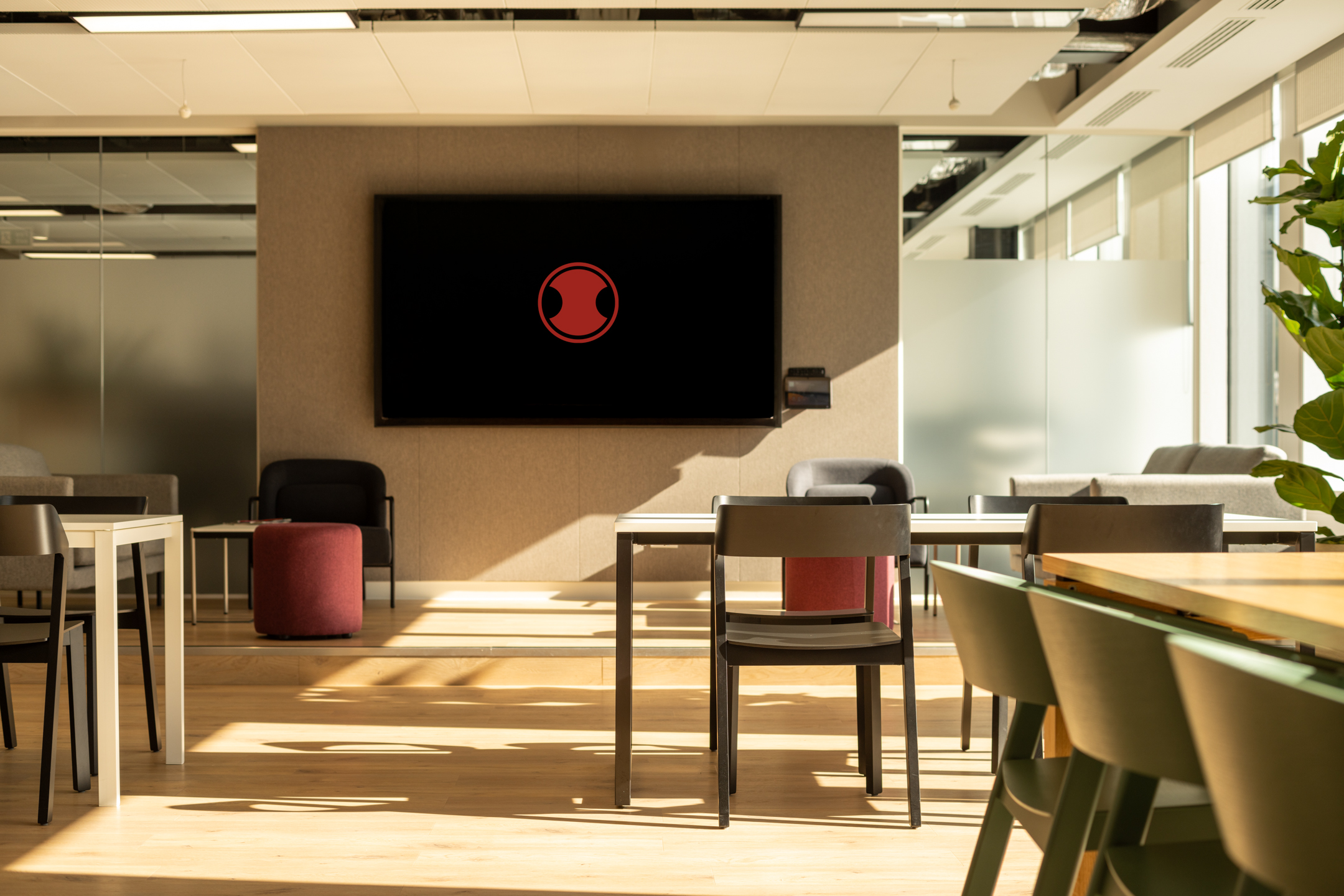 Japandi-inspired workspace at Shionogi with clean-lined furniture, soft upholstery and tonal contrasts shaped by natural light and calm design.